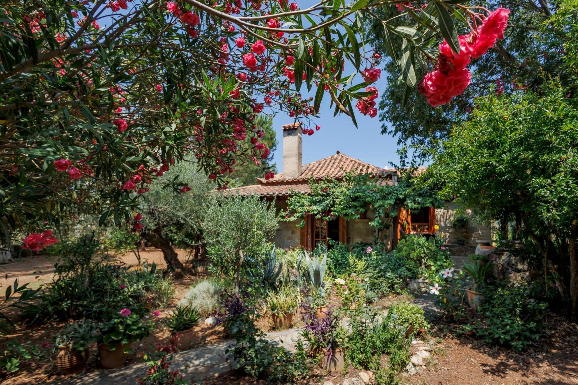 Spiti Nicola Villa Stoupa Ngoại thất bức ảnh